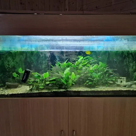 Nahe 224qm Traumhaus Im Gruenen Mit Sauna Und Kamin 펜션 *
